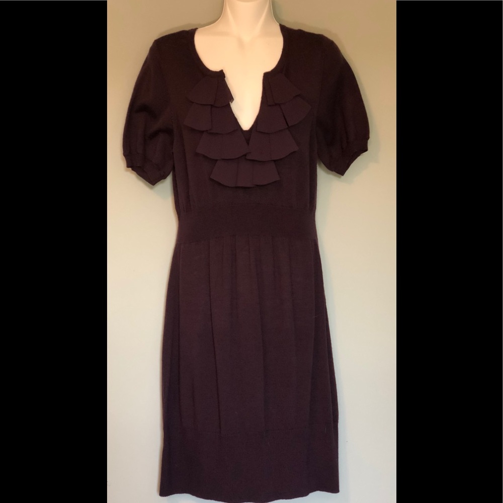 Ann Taylor Loft sweater dress